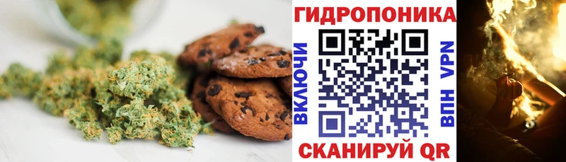 купить закладку  Калач-на-Дону  Cannafood конопля 