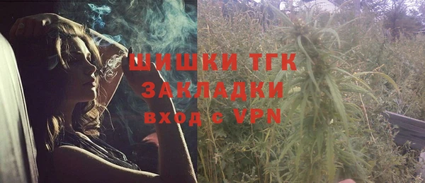 тгк Алексин