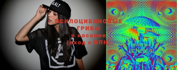 тгк Алексин