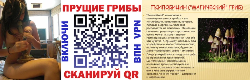 Псилоцибиновые грибы мицелий  Калач-на-Дону 