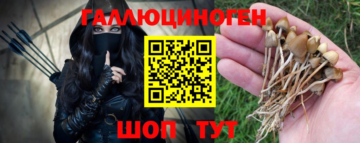 Галлюциногенные грибы прущие грибы Калач-на-Дону