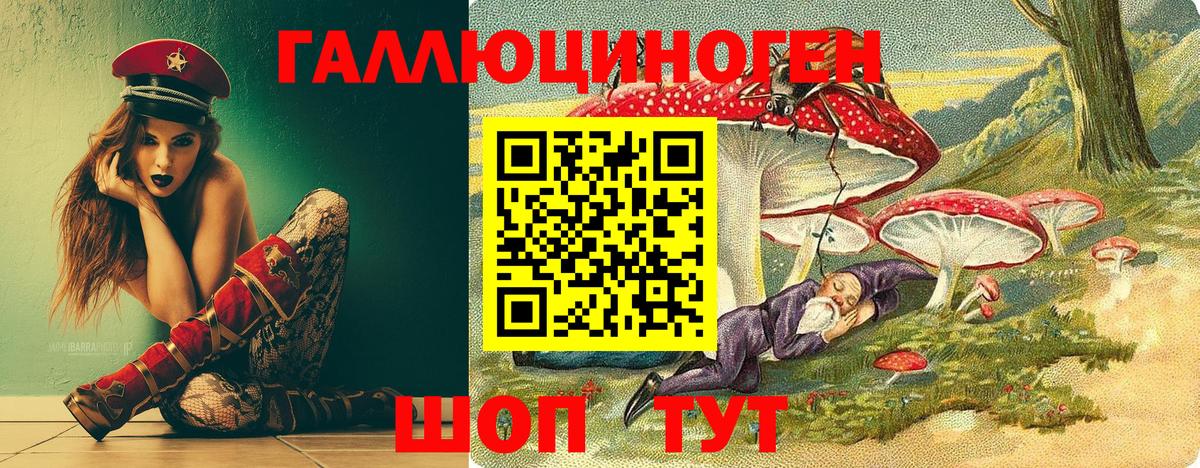 Галлюциногенные грибы Magic Shrooms  Галлюциногенные грибы прущие грибы  Калач-на-Дону  купить  цена  Вход с VPN 